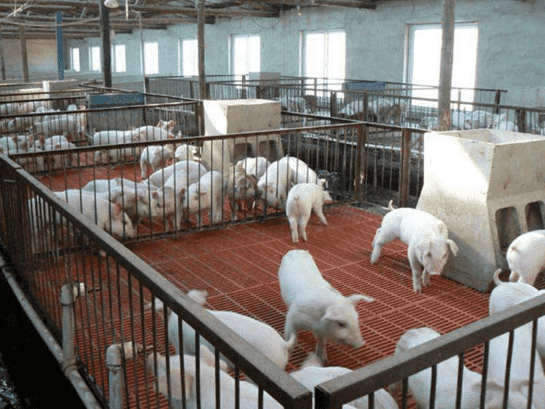 養(yǎng)殖廠平臺(tái)專用玻璃鋼格柵板廠家批發(fā)